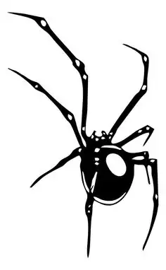 Calco Araña chico